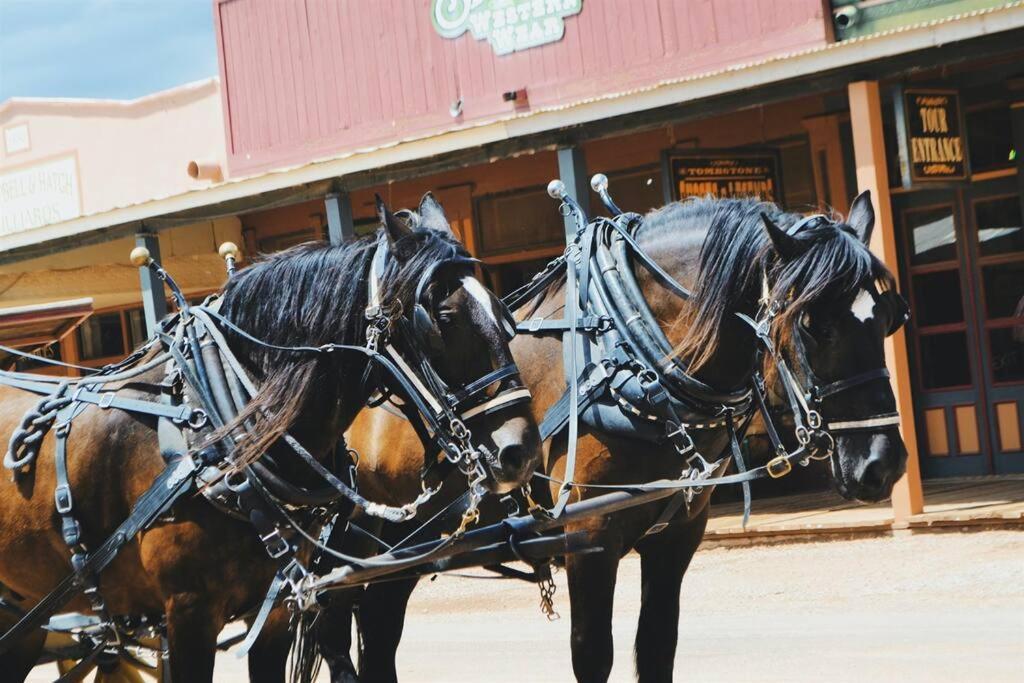 Silver Spur Homestead Luxury Glamping - The Cowboy Tombstone Dış mekan fotoğraf